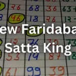 New Faridabad Satta King