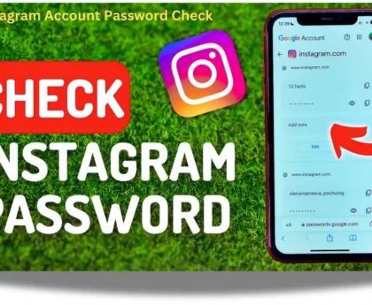 Instagram account password check