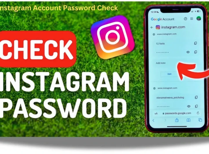 Instagram account password check